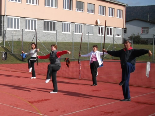 verdiepingsweek voor Taijiquan leraren